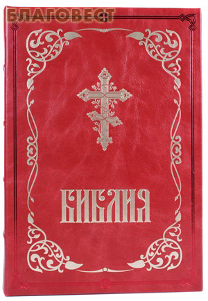 Библия. С неканоническими книгами. Кожаный переплет. Золотой обрез ( Бертельсманн -  )