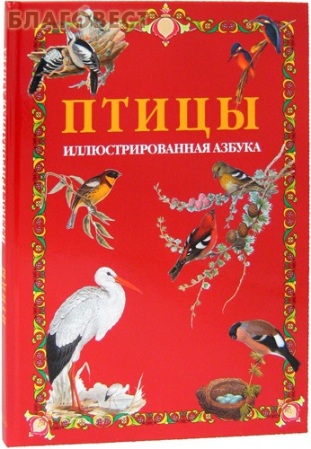 Птицы. Иллюстрированная азбука