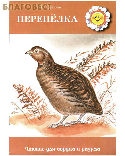 План рассказа перепелка тургенев