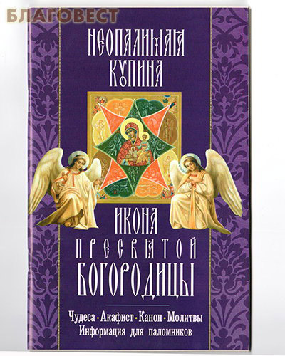 Икона Пресвятой Богородицы