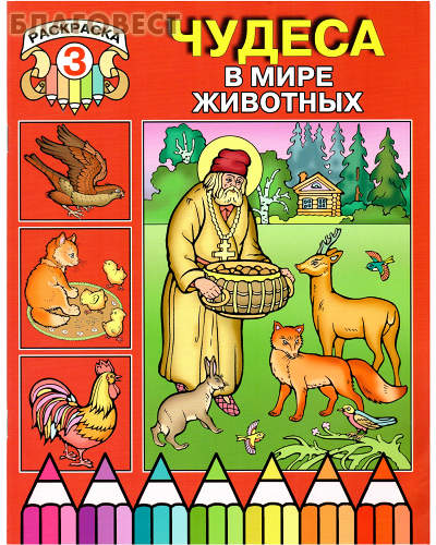 Раскраска 3. Чудеса в мире животных