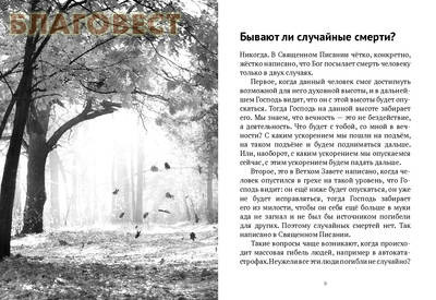 По ту сторону смерти. Протоиерей Владимир Головин