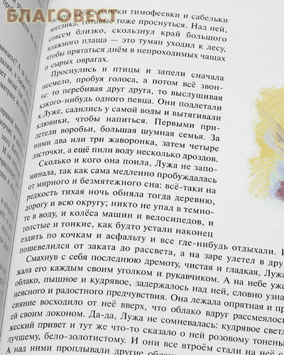Сказки о солнечных зайчиках. Протоиерей Павел Карташев