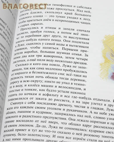 Сказки о солнечных зайчиках. Протоиерей Павел Карташев