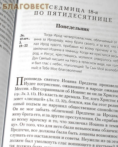 Евангелие дня в 2-х томах. Протоиерей Александр Шаргунов