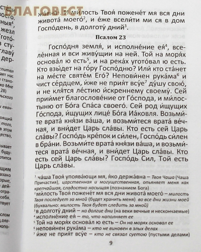 Последование ко Святому Причащению с пояснениями. Русский шрифт