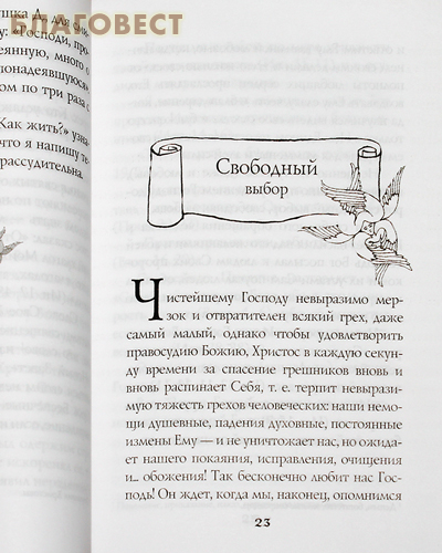 Плоды истинного покаяния. Сказание о грехе и благодати. Схиигумен Савва (Остапенко)