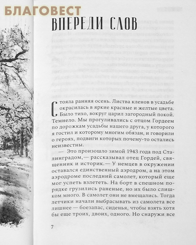 Утешение. Повесть. Николай Гаврилов