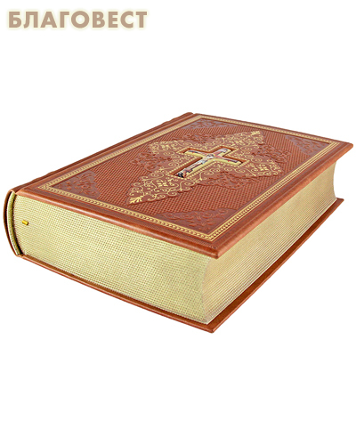 Библия (с гравюрами Г. Доре и Ю. Карольсфельда). Кожаный переплет. Финифть. Золотой обрез. В подарочной упаковке