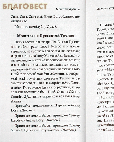 Молитвослов с правилом ко Святому Причащению. Пасхальный канон. Русский шрифт