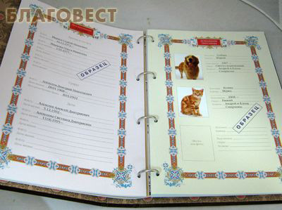 Семейная книга