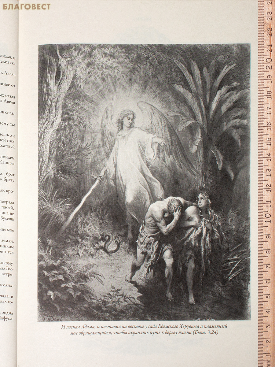 Библия с иллюстрациями Гюстава Доре. Кожаный переплет