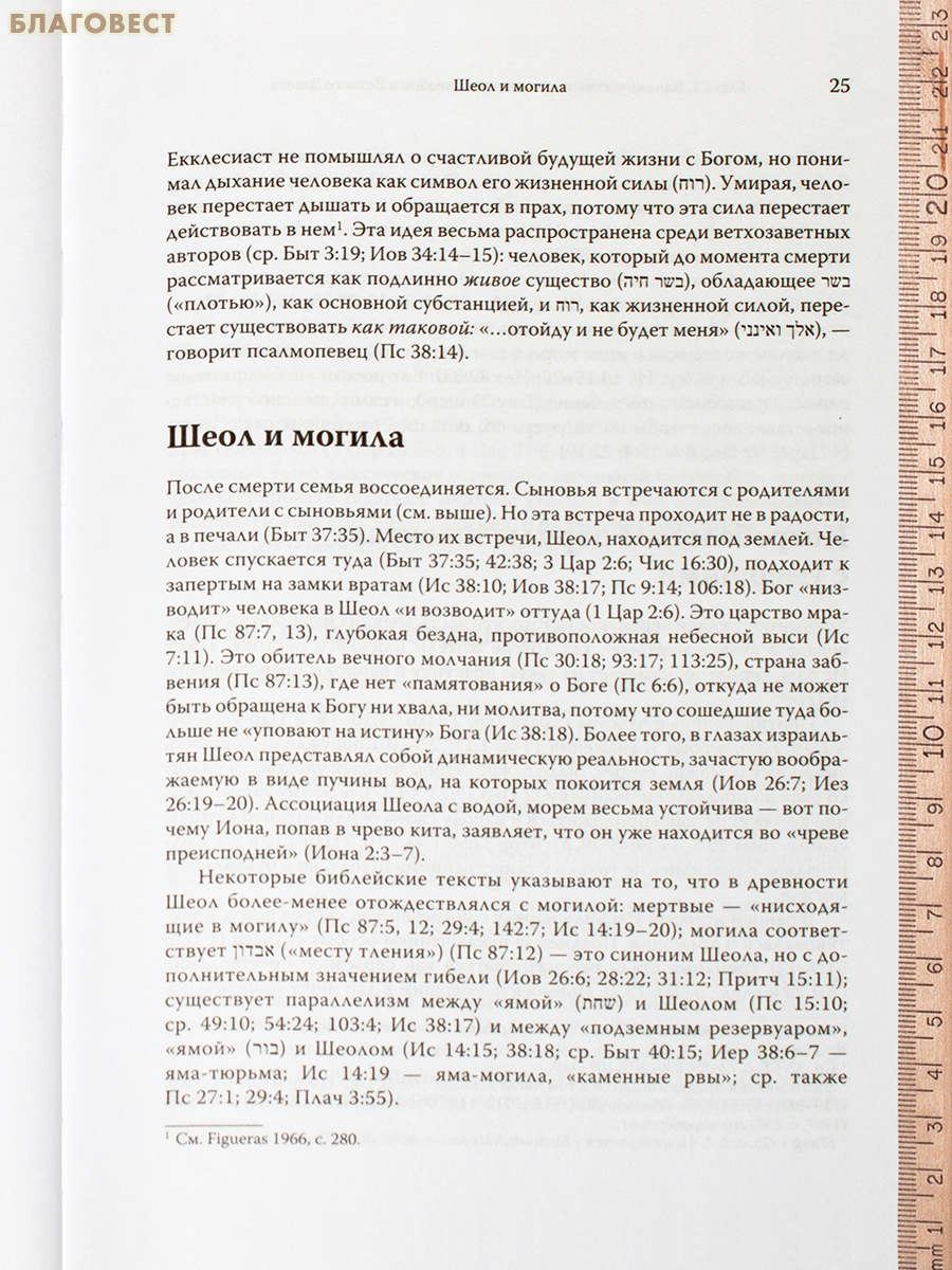 Смерть, Суд и Царство. Смерть и посмертная участь в иудейской и христианской литературе древности. Пау Фигерас