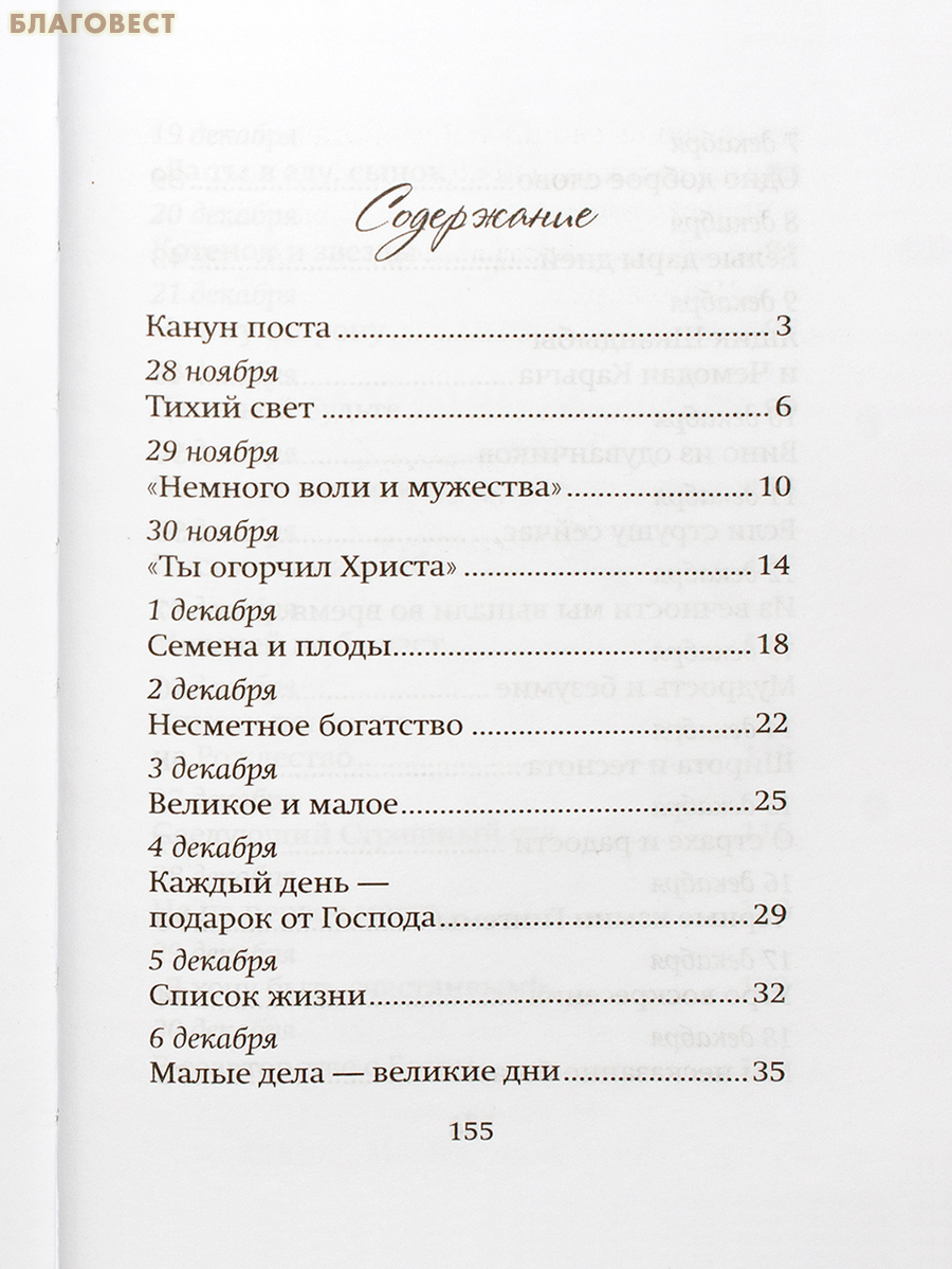 За звездой Рождества. Ольга Шишкина