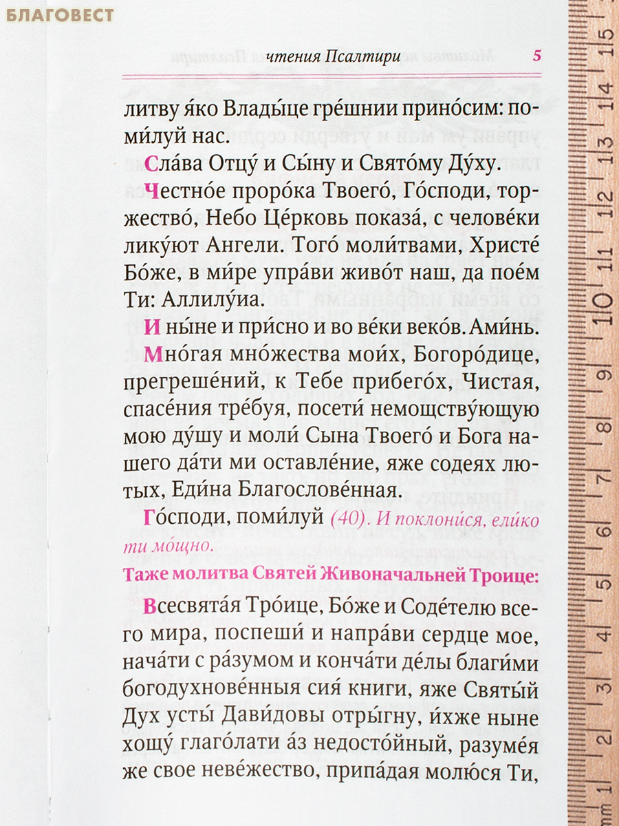 Псалтирь для мирян. Чтение Псалтири с поминовением живых и усопших. Кожаный переплет с клапаном. Золотой обрез. Русский шрифт