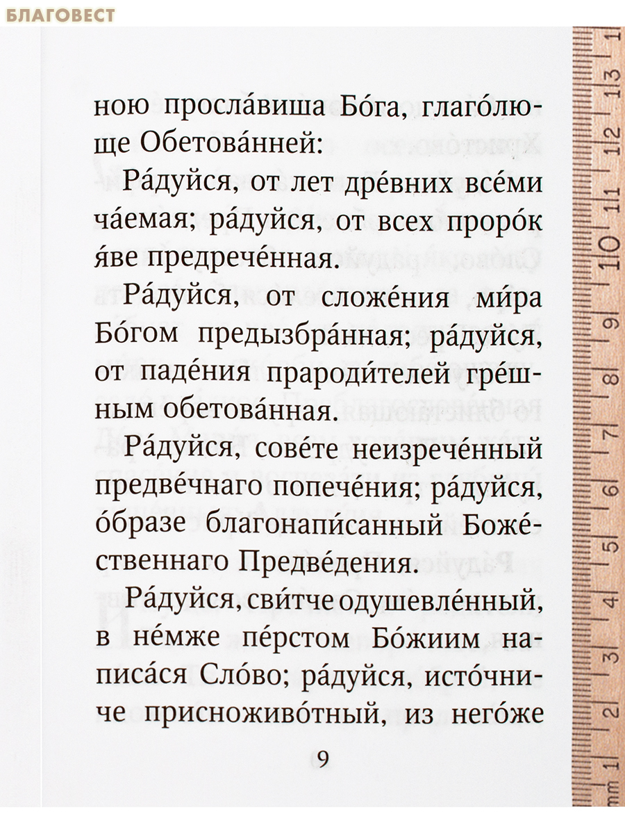 Акафист Пресвятой Богородице в честь Её Рождества (с историей праздника)