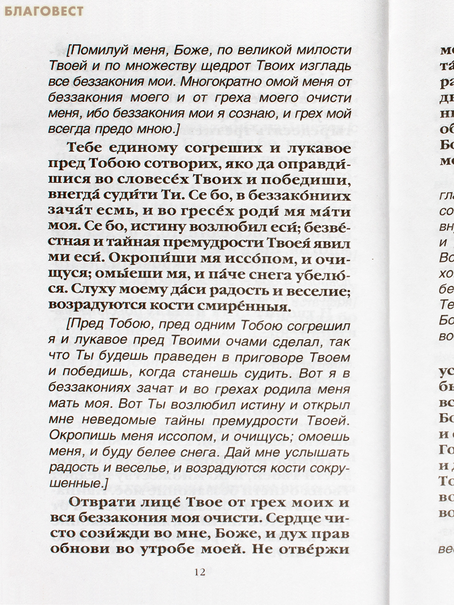 Полная исповедь. Подготовка к таинству покаяния по наставлениям святых отцов и подвижников благочестия