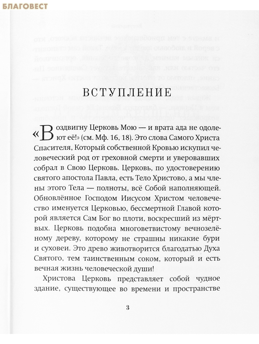 Семь слов о святых Таинствах Матери Церкви. Протоиерей Артемий Владимиров