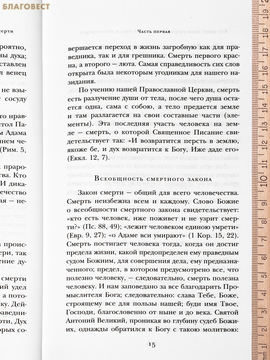 Загробная жизнь по православной вере. Как живут наши умершие и как будем жить и мы по смерти. Монах Митрофан (Алексеев)