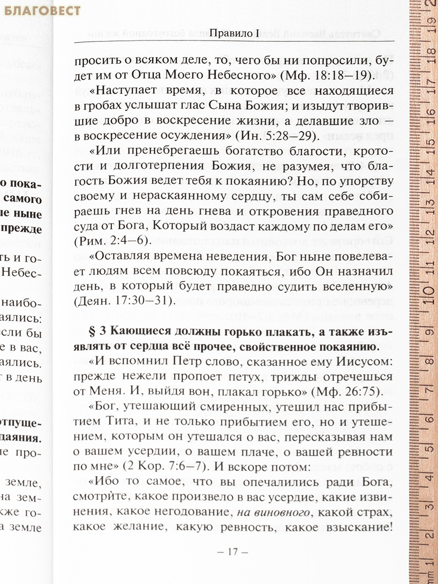 Правила богоугодной жизни. Святитель Василий Великий. Жизнь святого Василия Великого, архиепископа Кесарии Каппадокийской. Епископ Порфирий (Успенский)