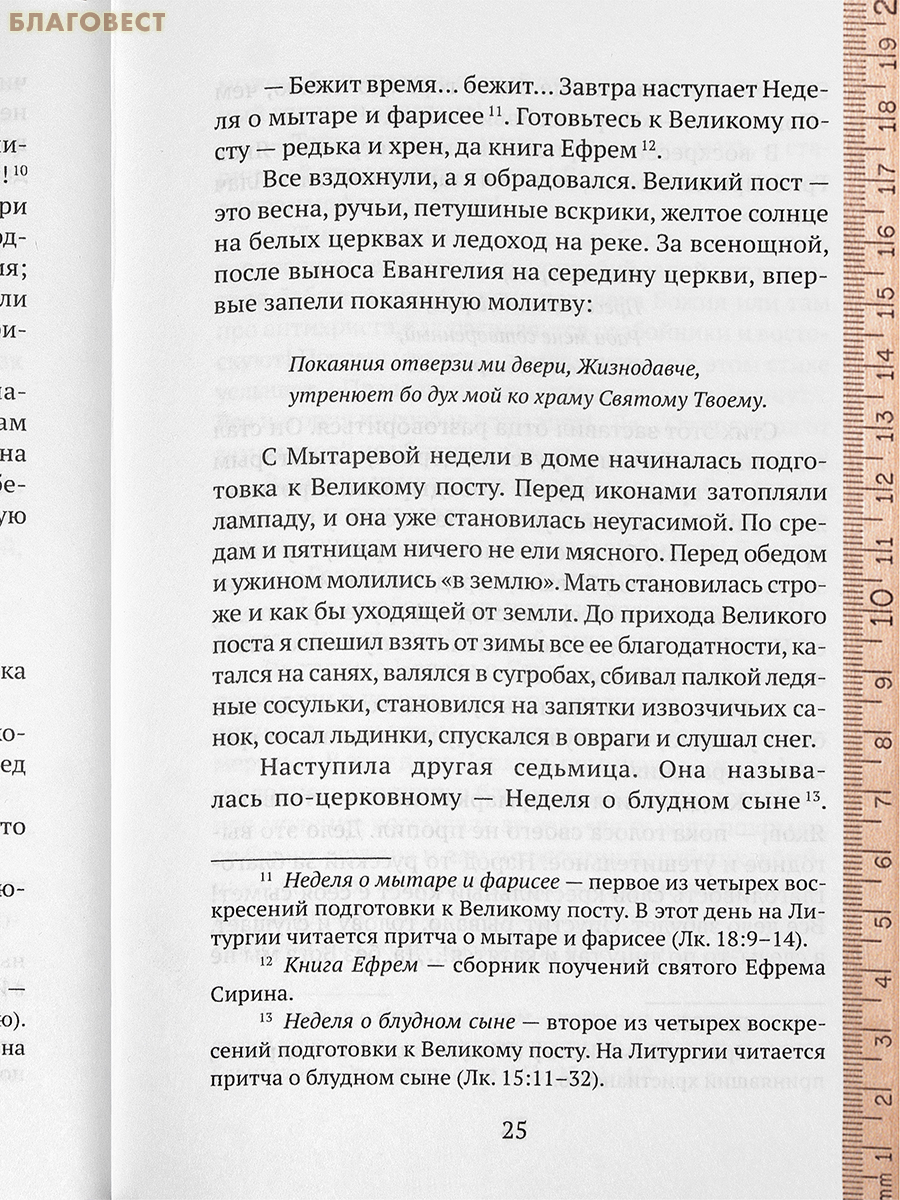 Дорожный посох. Рассказы. Василий Акимович Никифоров-Волгин