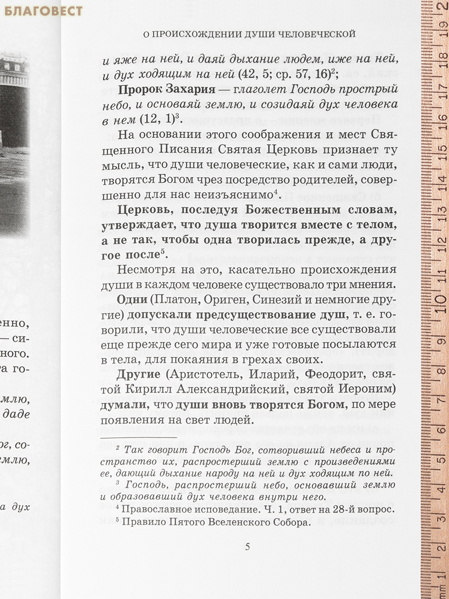 О бессмертной душе. Архимандрит Иоанн (Крестьянкин)