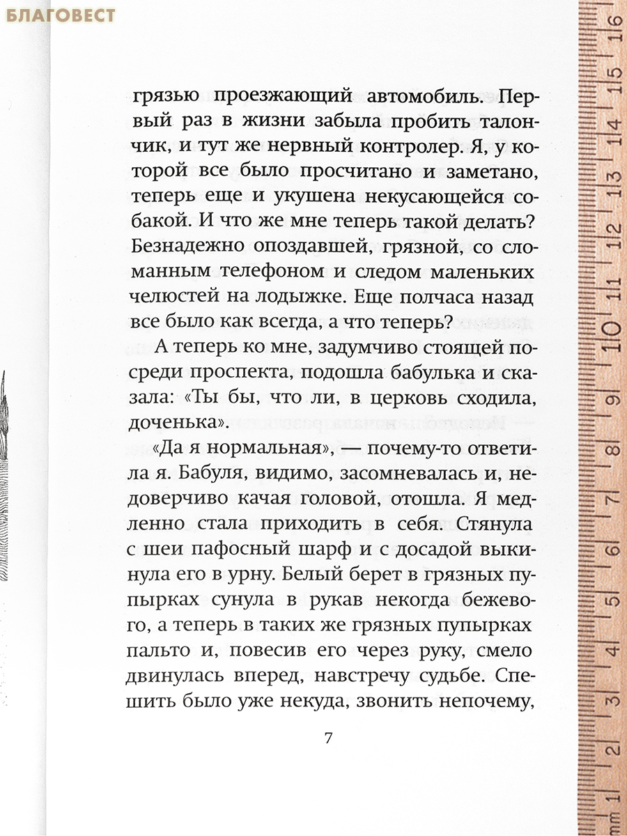 Один день одного лета. Светлана Корнеева