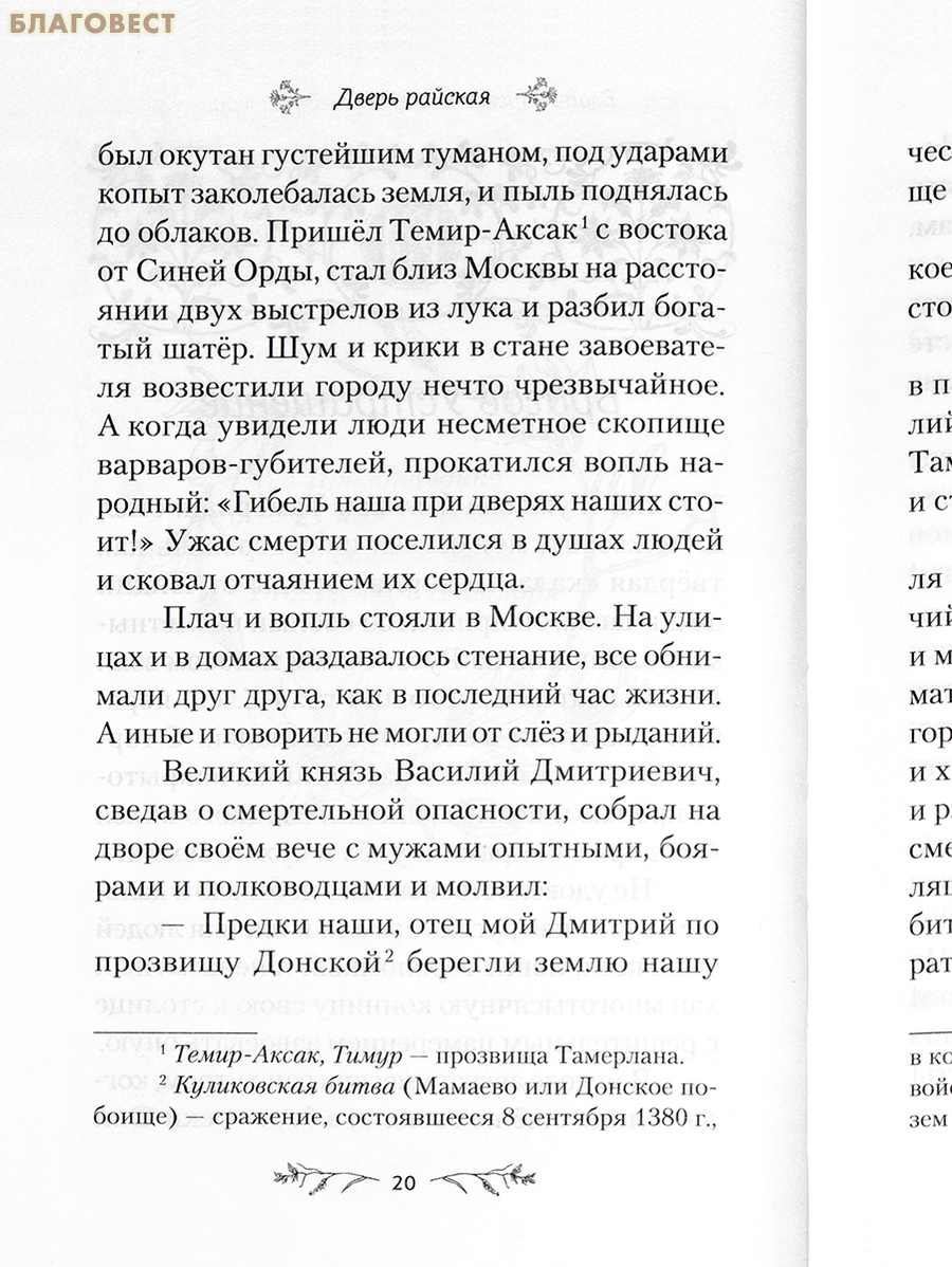 Дверь райская. Рассказы о чудотворных иконах Пресвятой Богородицы. Валентина Карпицкая