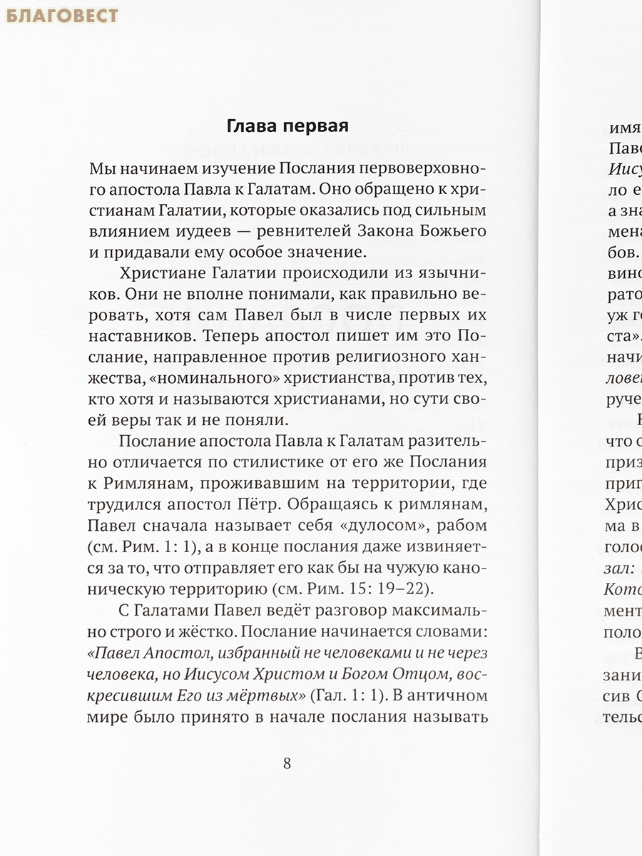 Живите по Духу. Беседы на Апостольские послания. Протоиерей Олег Стеняев