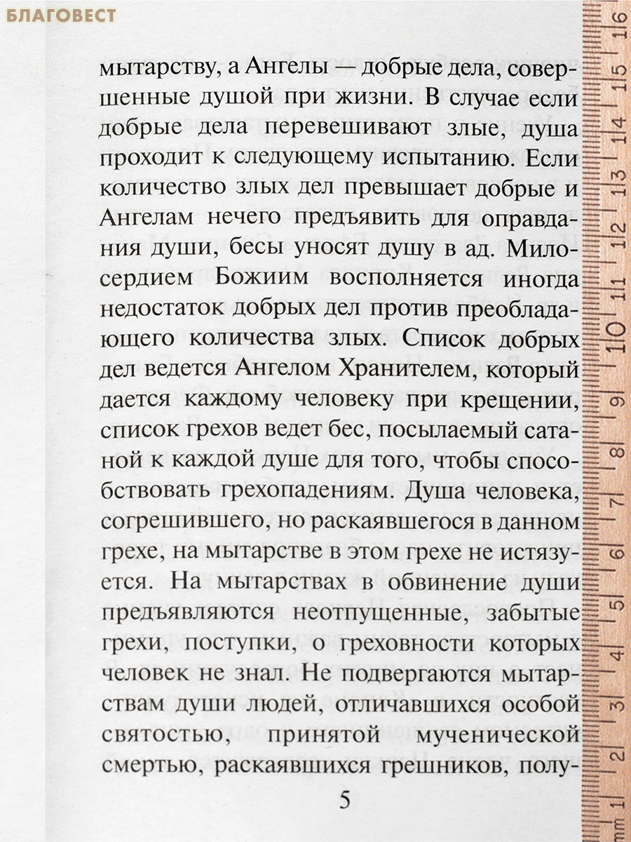 Мытарства нам предстоят. На основе свидетельства блаженной Феодоры о мытарствах