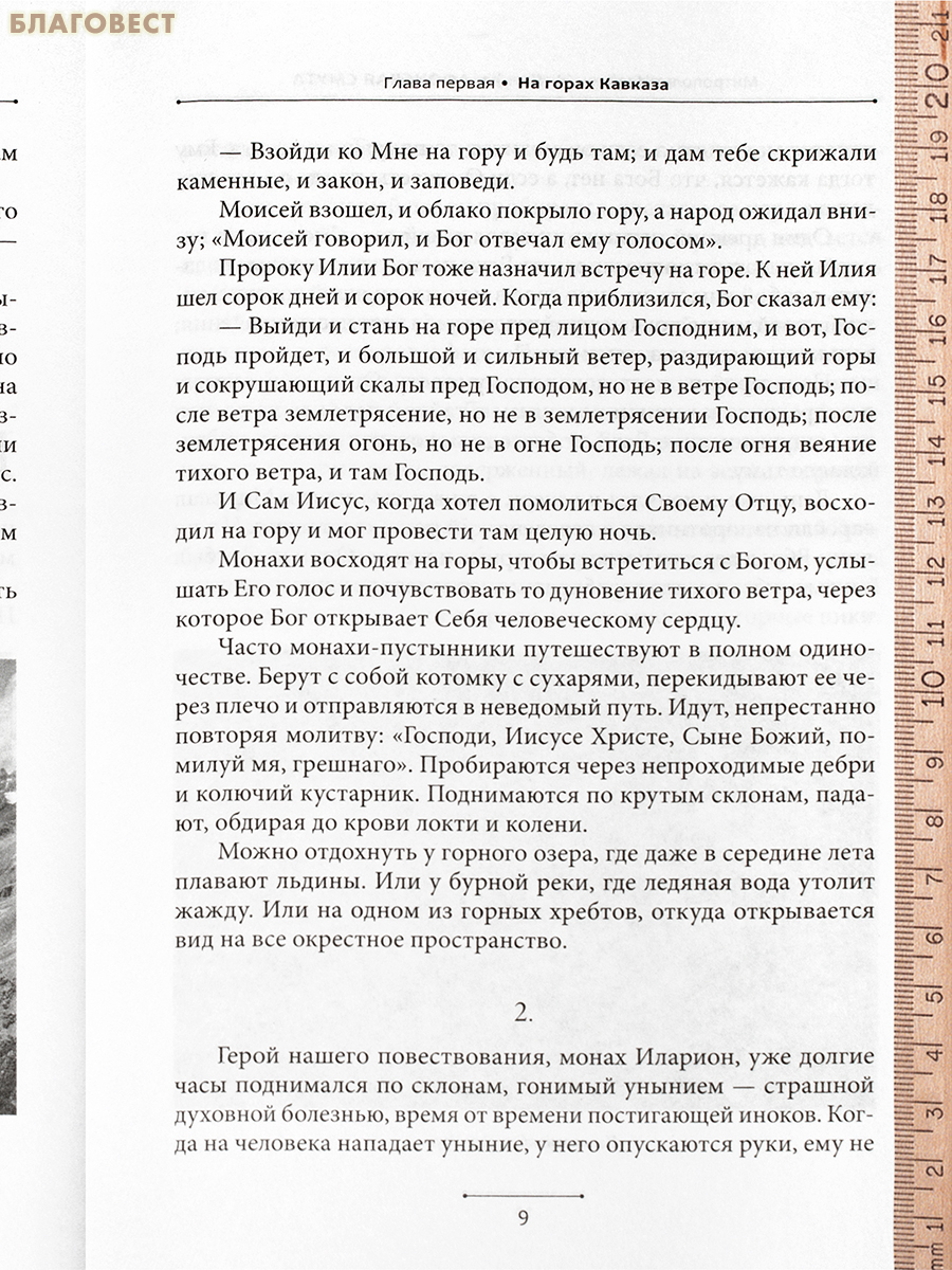 Афонская смута. Документальная повесть. Митрополит Иларион (Алфеев)