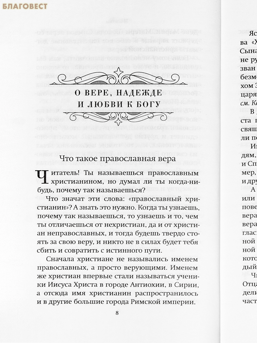Спутник христианина. Священник Николай Успенский