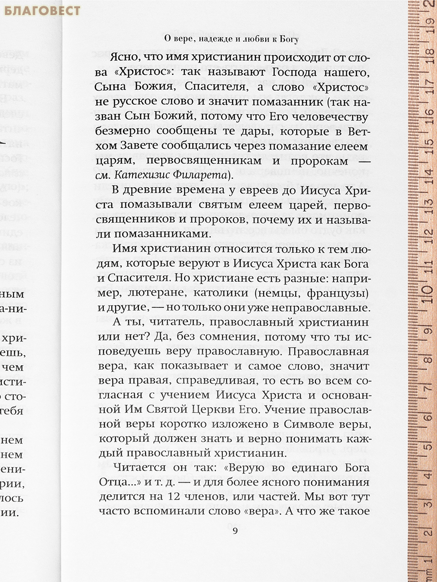 Спутник христианина. Священник Николай Успенский