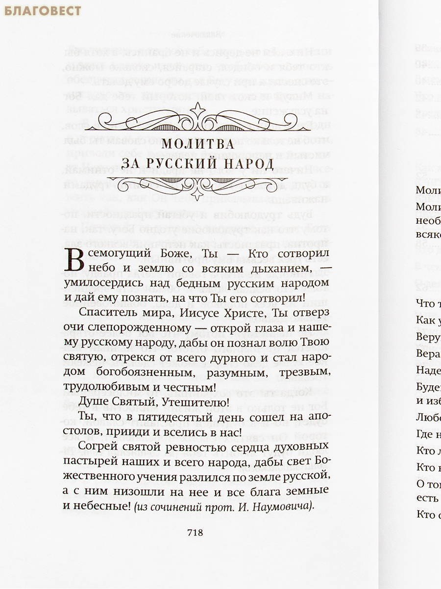 Спутник христианина. Священник Николай Успенский