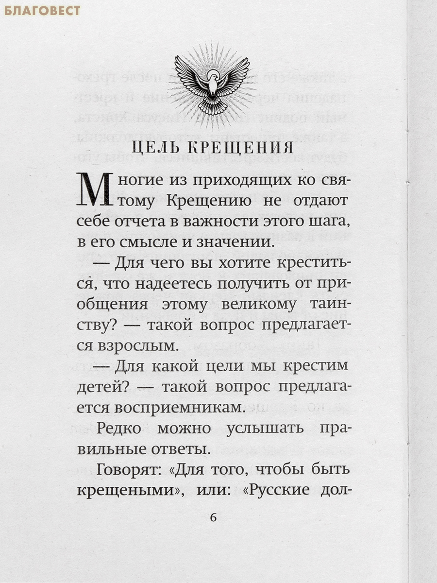 Огласительные беседы с крещаемыми. Архимандрит Борис (Холчев)