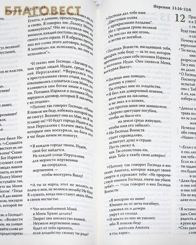 Библия. Современный русский перевод. Без неканонических книг